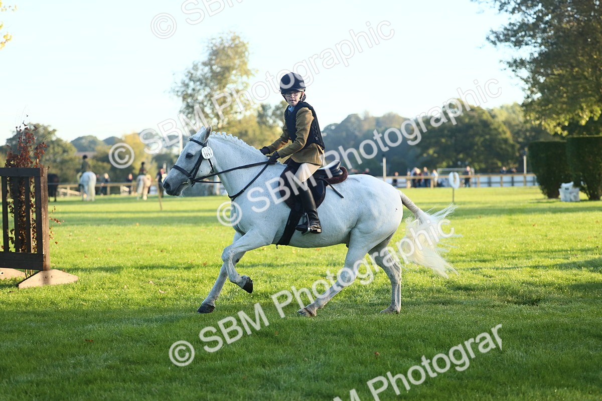 SBM_37128 - S29 - Novice & Newcomers Working Hunter Pony