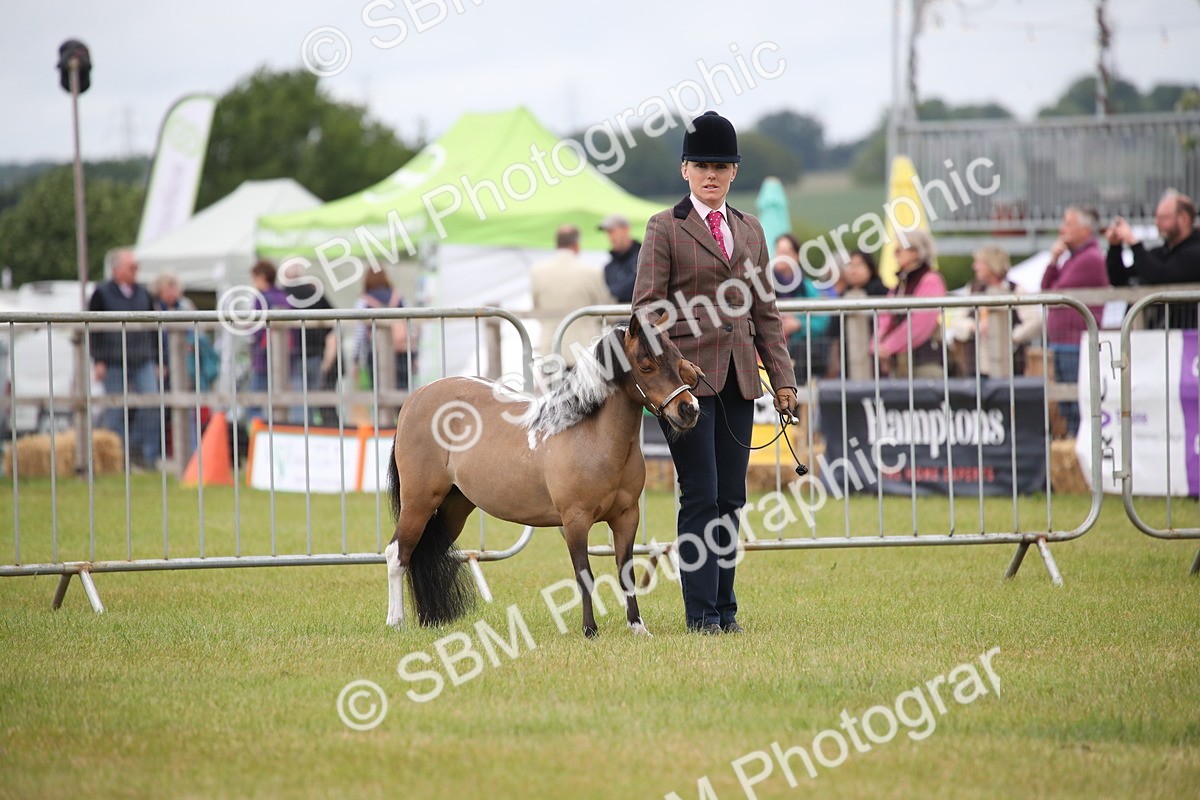 SBM_03901 - Class 23-25 - British Miniature Horse of the Year