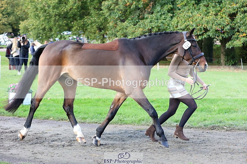 251026A-101944-22887 - D-354-Poppy.Burner