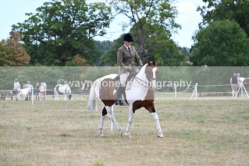 WJ7_5172 - Class 12 Ridden Cob