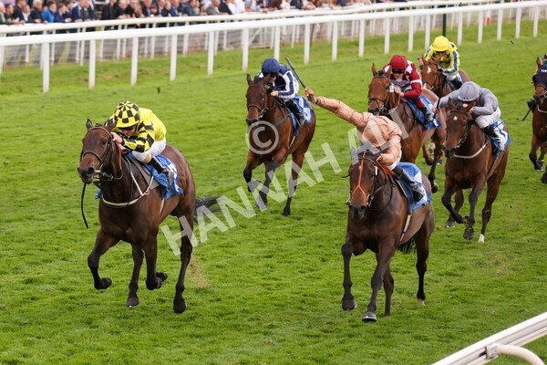 yr22052022r7-25 - Race 7: 6:40pm Sky Bet Sunday Series Fillies' and Mares Stakes