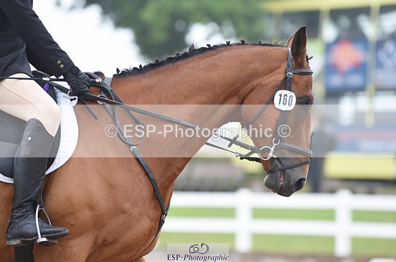 230708A-142922-03058 - Novice 24