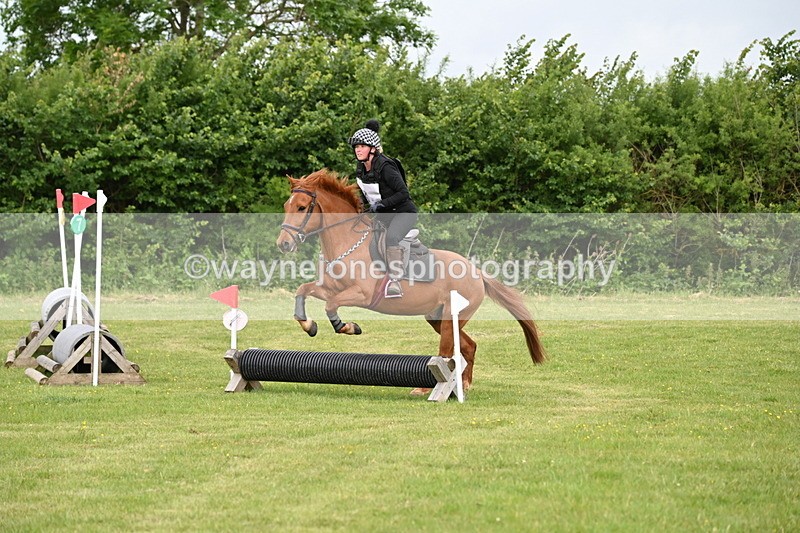 WJ6_2202 - Class 2 40cm