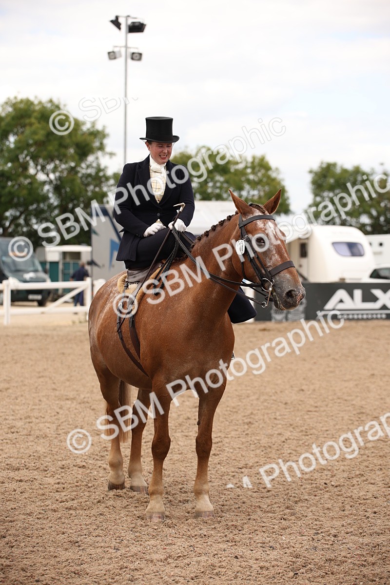 SBM_05500 - Class 22 SSA Equitation