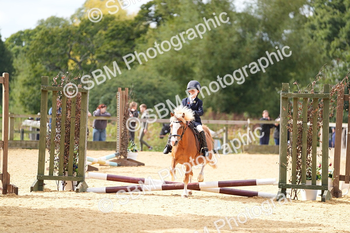 SBM_64509 - J2 - Mini Tour Junior Pony 30cm Championship