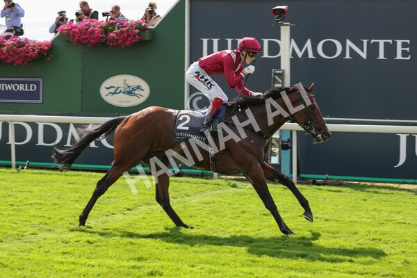 yr18082021r4-84 - Race 4 3.35pm Juddmonte International Stakes (British Champion Series race)