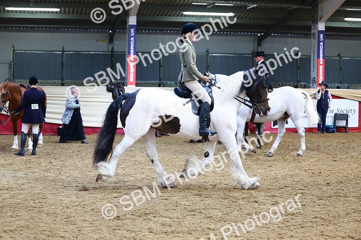 SBM_23502 - class 906 - Supreme Final - Ridden Pre Vet