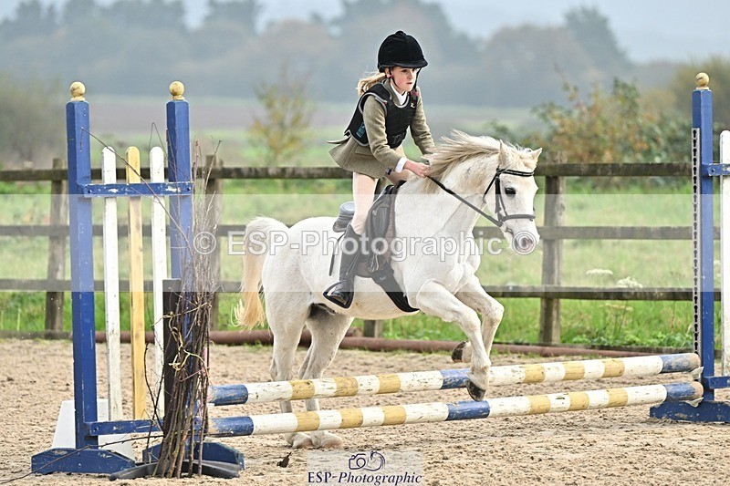 241110-103221-00331 - 40cm Showjumping
