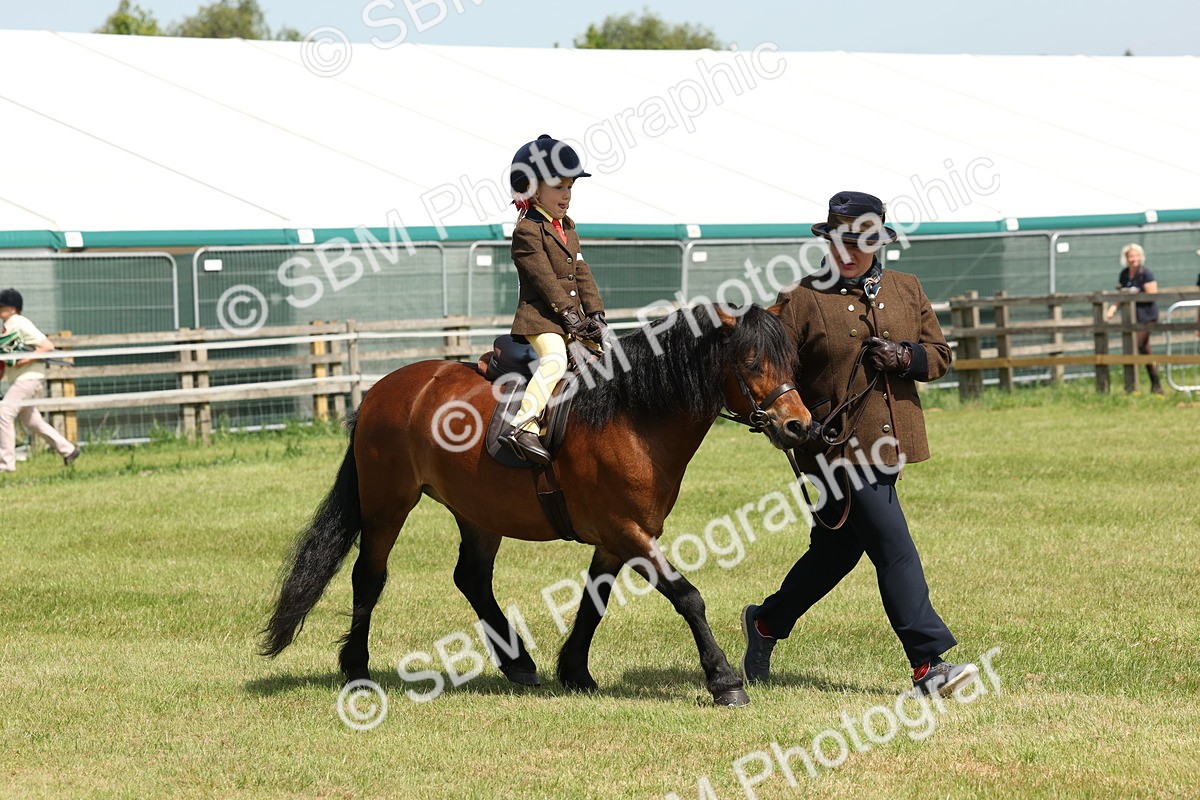SBM_05242 - Class 24-25 - Mountain & Moorland In Hand Lead Rein and First Ridden