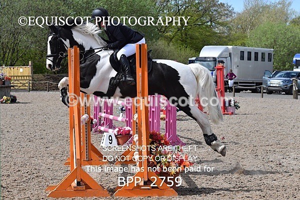 BPP_2759 - FRI CLASS 4 95CM AM CHAMP QUAL