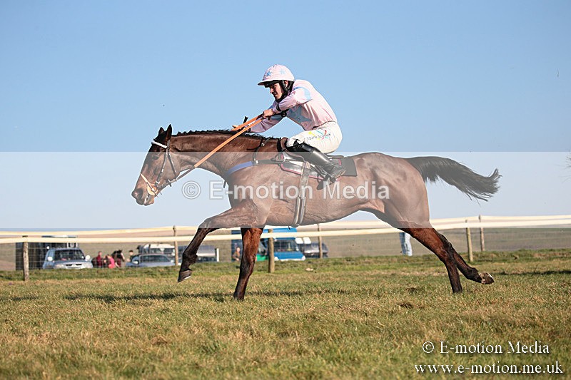 PtP 230219 452 - Vine & Craven Point-To-Point - Barbury 23/02/19