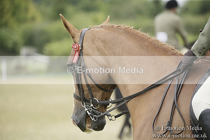 B230619-0961 - Bourne Valley Riding Club Summer Show 23/06/19
