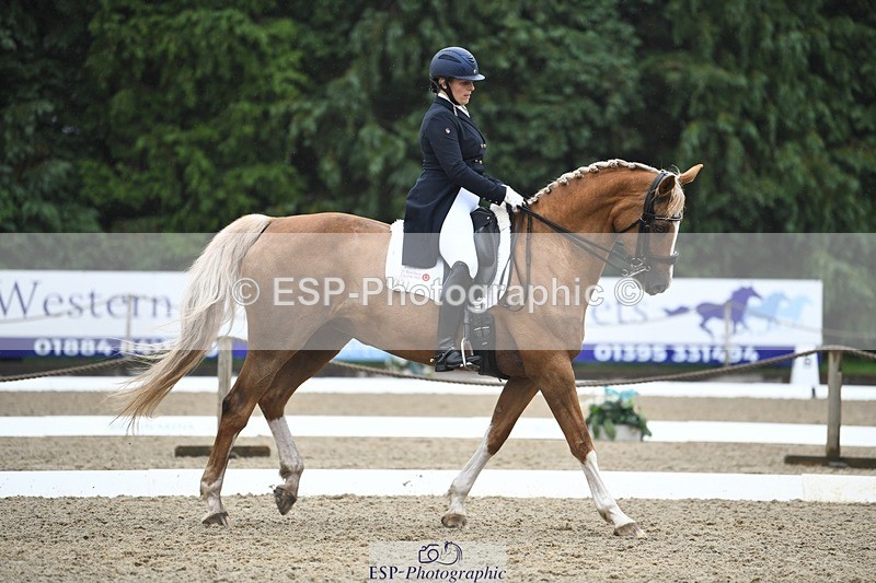 240720-145114-05844 - 187-Clare_Smith-Dori_Dragon_Fly