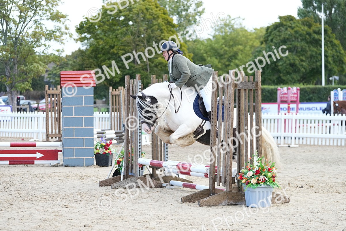 SBM_21182 - J49 - Open 50cm