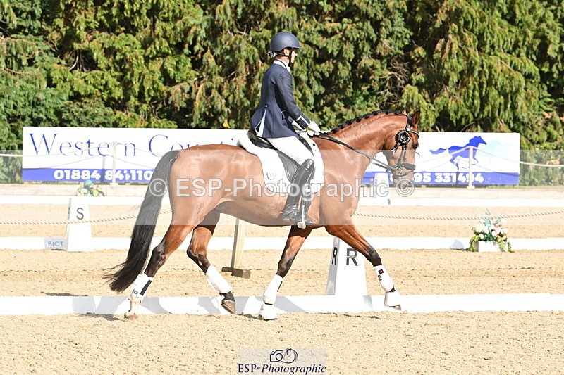 250808A-170426-02239 - Preliminary GOLD Presentations