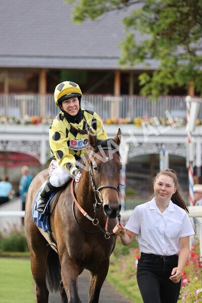 yr23072021r3-37 - Race 3 7.00pm The JKH 80th Birthday Celebration EBF Novice Median Auction Stakes (Plus 10 Race)