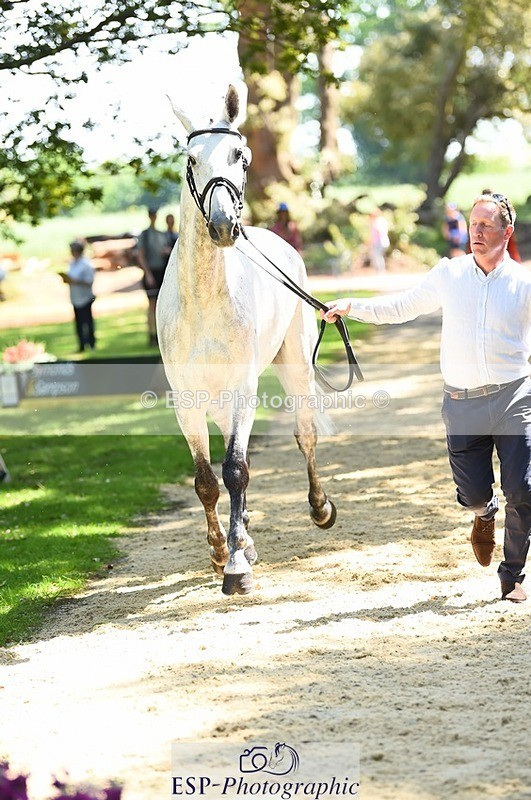 230524-145940-00009 - 302-EN_TARO_DES_VERNIER-Oliver_Townend-WEDTrotUp+DR