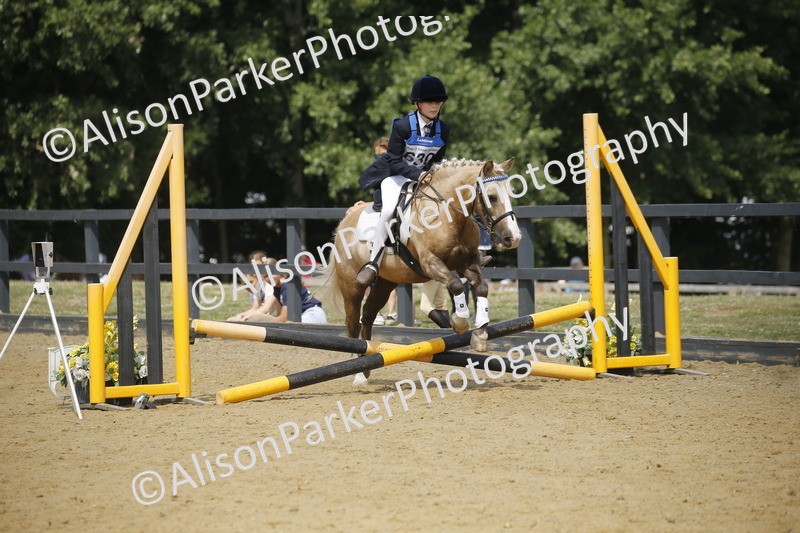 20250622-3930 - 50cm