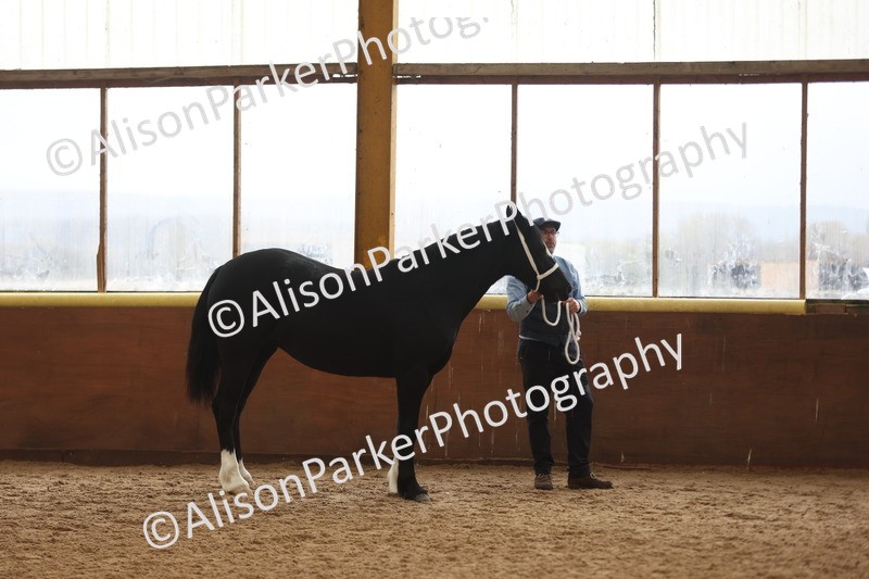 20251109-0890 - Class 26 - 2 and 4 Year Olds