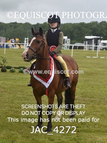 JAC_4272 - WORKING HUNTER CHAMPIONSHIP