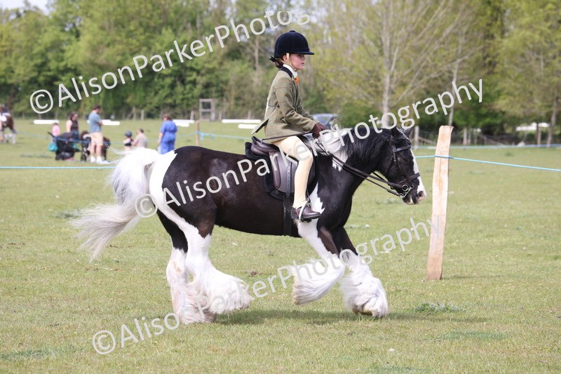 20260426-2992 - Class 33 - Best Pony 14.2hh and Under