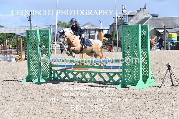 BPP_3876 - CLASS 8 SAT Springboard 128cm/ 138cm Restricted Handicap