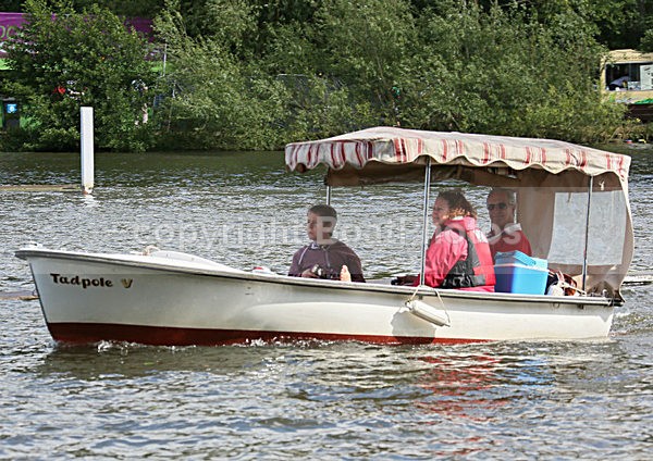 120701 TADPOLE WT7A4266 - HENLEY ROYAL REGATTA - Sunday 1st July 2012