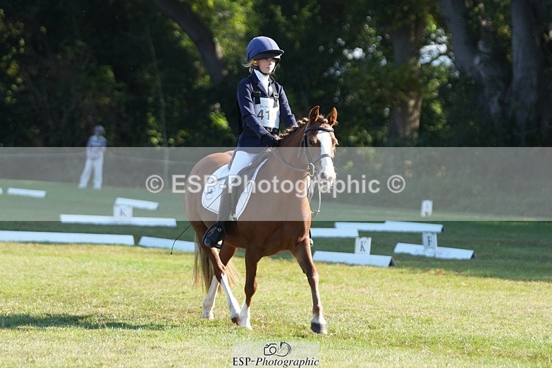 250823A-091813-25432 - Arena B