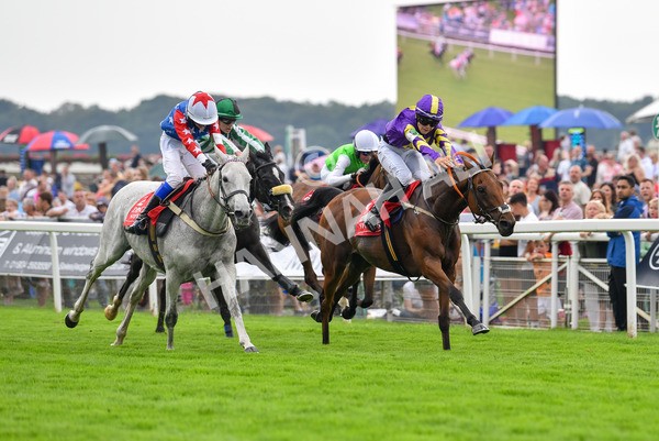 100923-Pony Race 2-Its Fatherted-1694 - Pony Race 2 12.45 The Dragon (TV and Film) Studios Pony Race 148cm & Under