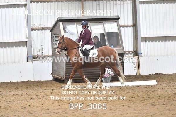 BPP_3085 - INTRO TEST 2