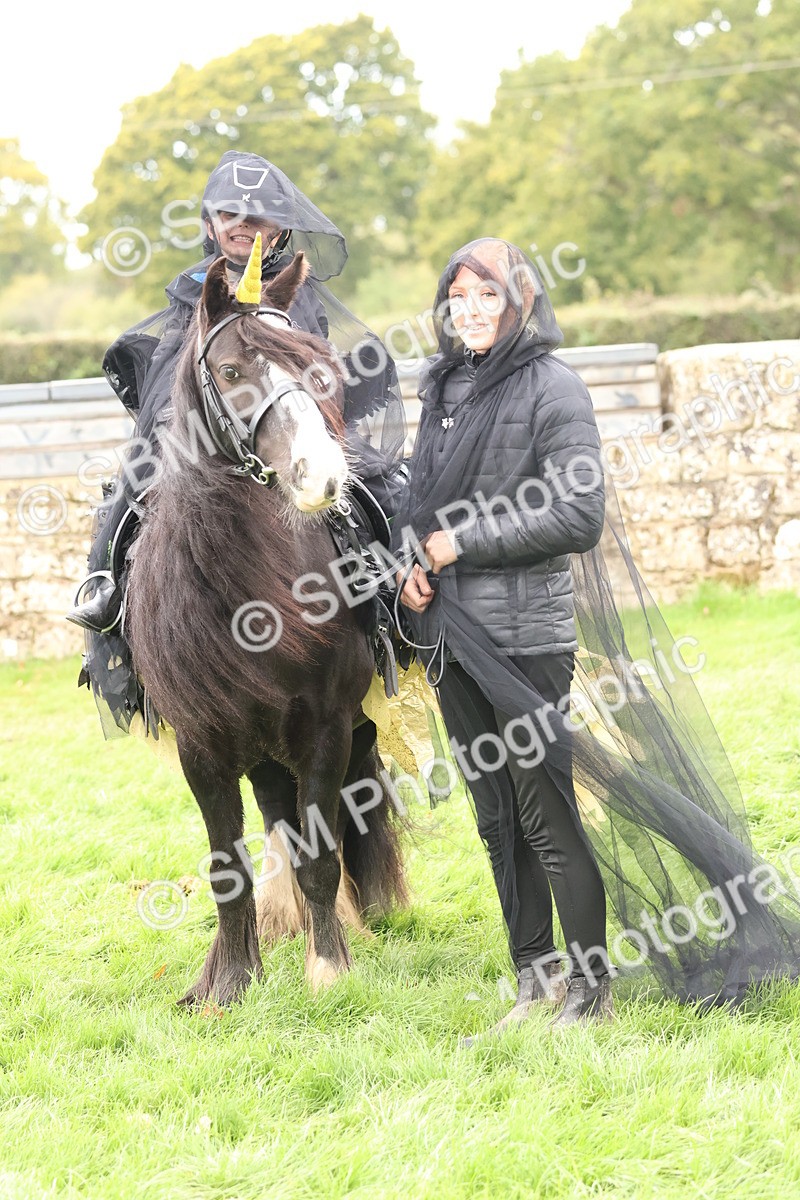 SBM_62186 - S37b - Best Unicorn