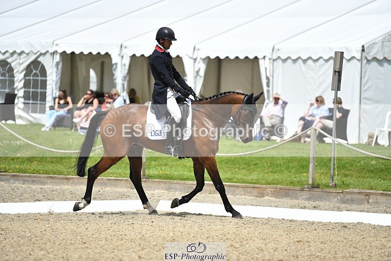 230525-115158-01918 - 104-GALAKIS_DE_L'OCEAN-Harry_Meade-WEDTrotUp+DR