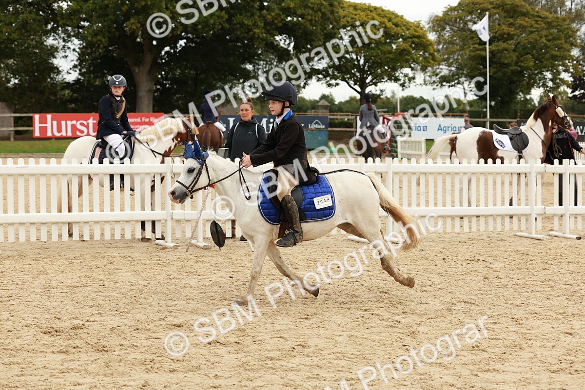 SBM_65372 - Supreme Championship 50cm & 55cm