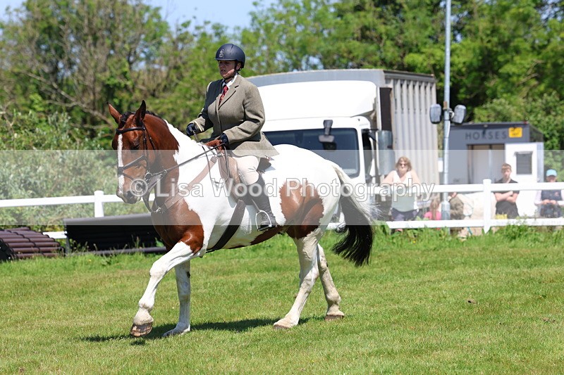 3E7A7232 - Class 30: Novice Working Hunter