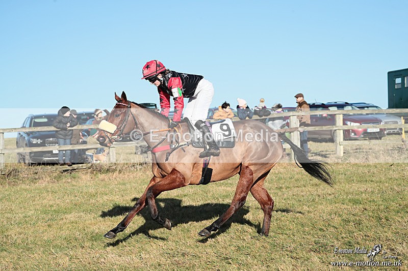 PR PtP 240126 440 - Pony Racing Horseheath 24/01/26