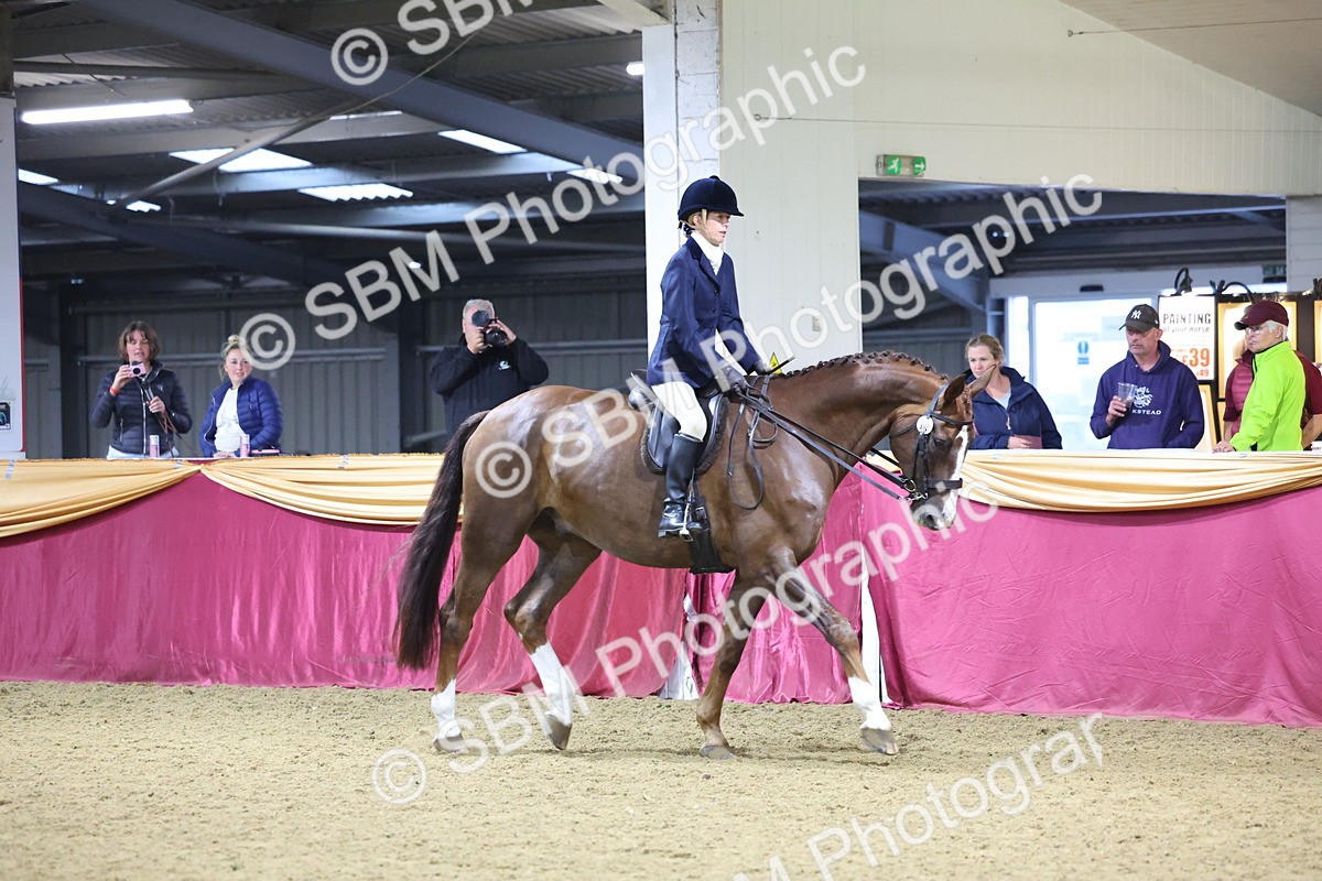 SBM_19144 - Class I Competition/ Riding Club Champ