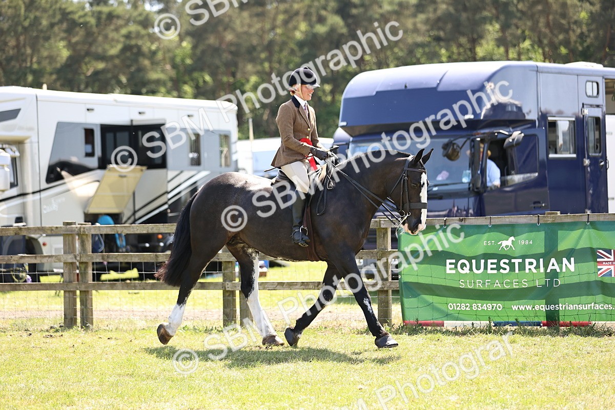 SBM_17955 - Class 81-83 - TSR Ridden Amateur of the Year - Horses