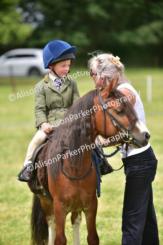 20260614-4204 - Class 17 - Best Mane and Tail