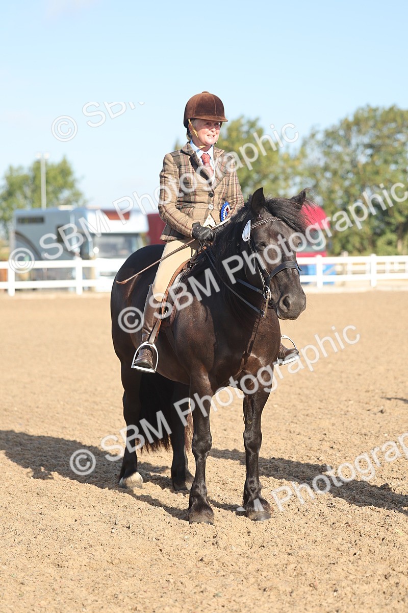 SBM_22143 - Class 801 - Ridden Veterans