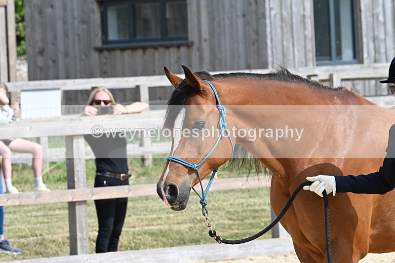 WJ7_8263 - Time 16:10 to 16:25