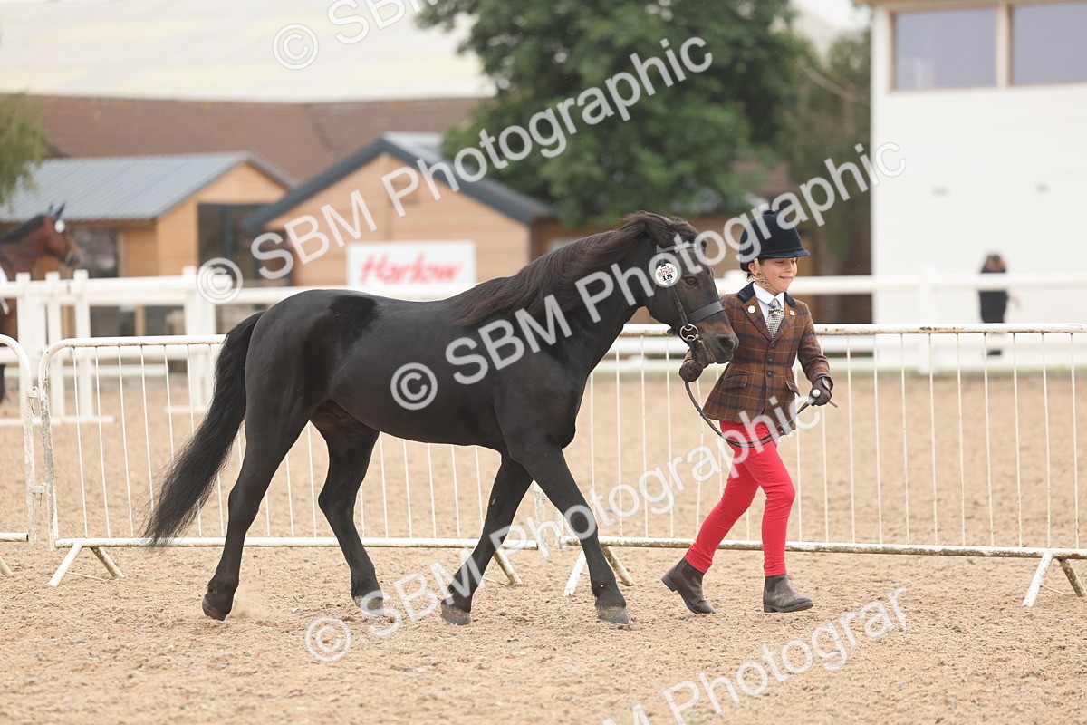 SBM_00492 - Class 13 Young Handler