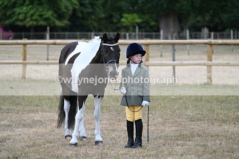 WJ7_9487 - Class 5 Most Handsome Gelding (up to 14.2hh)