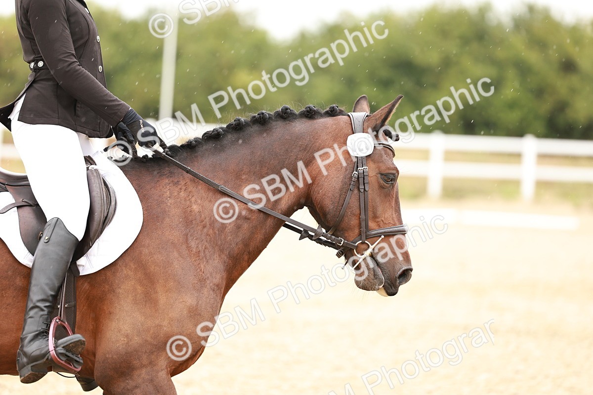 SBM_000059 - Class 1 - Intro 2 Warm Up 9.00-9.35