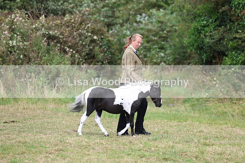 3E7A5339 - Class 19: Best Coloured in Hand