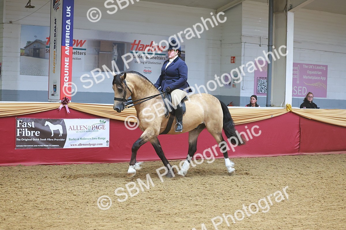 SBM_17743 - Class 952 - M&M Ridden Supreme Final