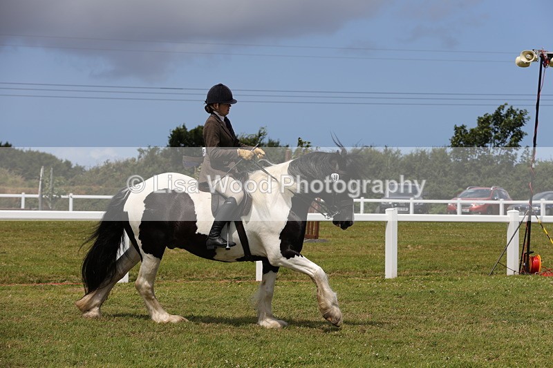 1X9A4369 - Class 34: Veteran Ridden