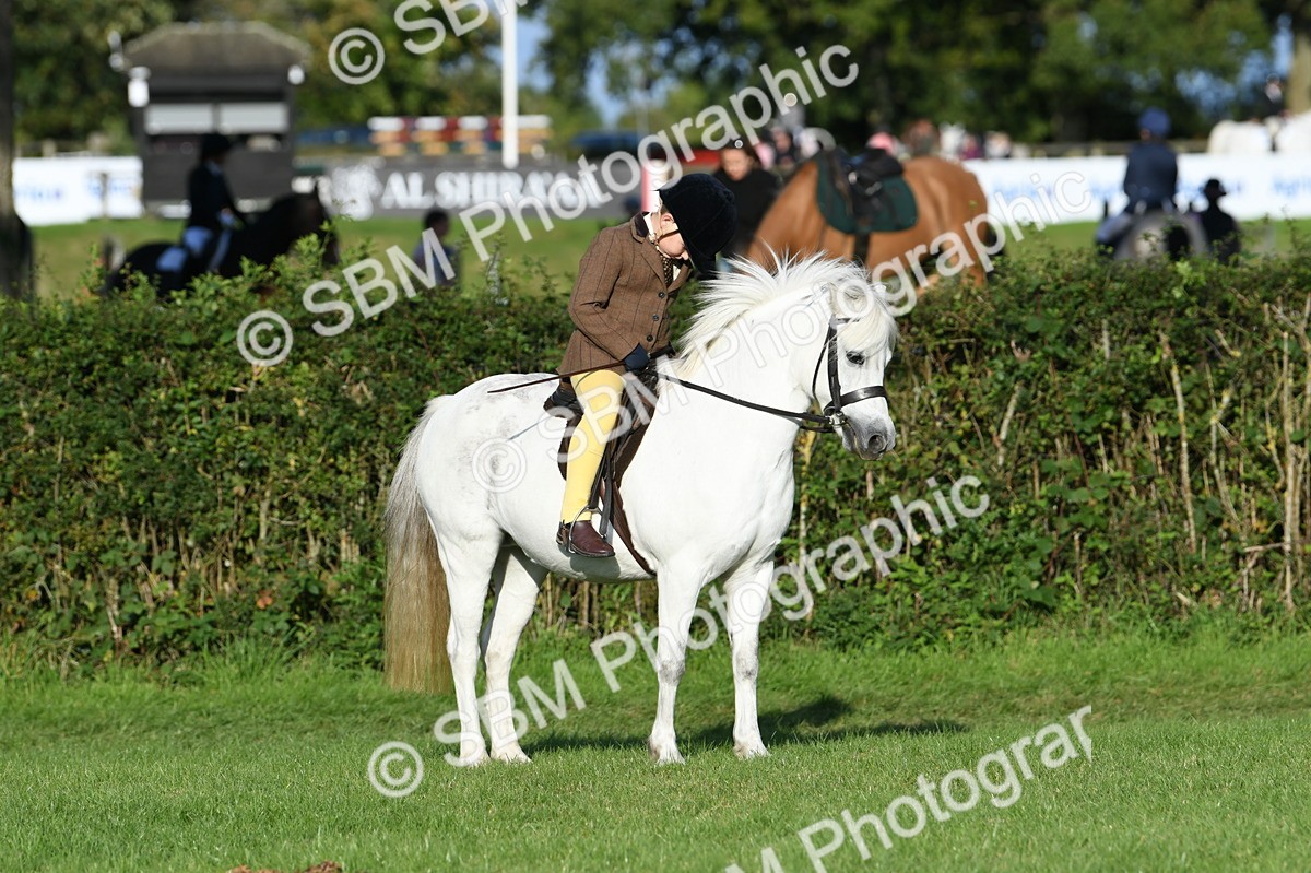 SBM_54039 - S23 - 1st Ridden Mountain & Moorland Pony