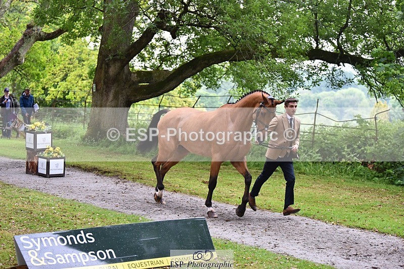 240522-165640-01270 - 282-COOLEY_CORNASUS-Tom_Jackson