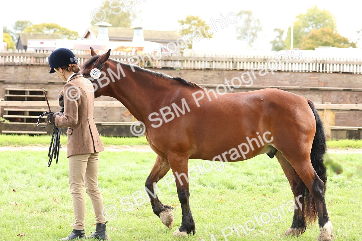 SBM_40749 - S25 -  Veteran In Hand