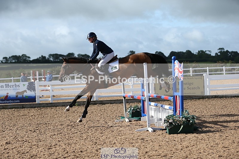 230811A-091419-02817 - Cls 13 A&B Snr Brit Nov & 90cm Open